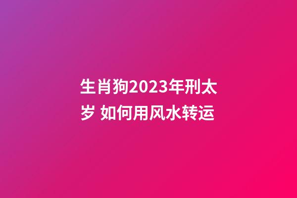 生肖狗2023年刑太岁 如何用风水转运